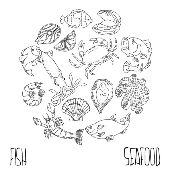 Conjunto Frutos Mar Desenhados Mão Desenhos Alimentos Saudáveis Definir Elementos — Vetor de Stock