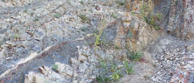 çim çalılıkları ile taşlı doku. Kayraktan kayalar.