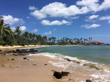 Sörf yapmak için harika dalgaları olan güzel tropikal plajlar. Sri lanka