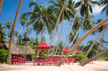 Büyük dalgalar ile güzel tropikal plaj. Sri lanka