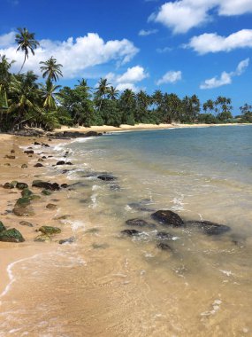Büyük dalgaları olan güzel tropikal plajlar. Sri lanka
