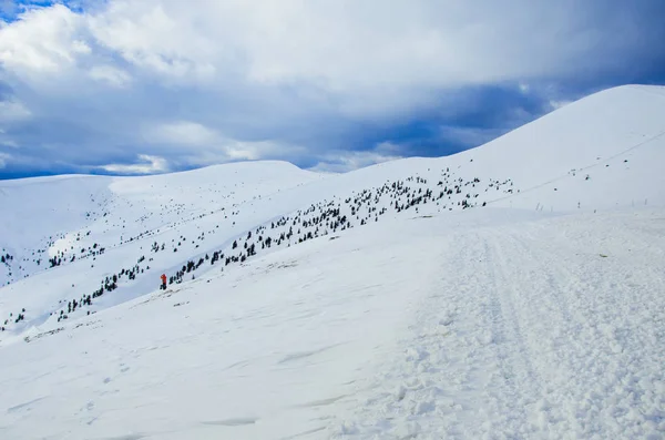 冬のカルパティア山脈、雪で覆われた — ストック写真