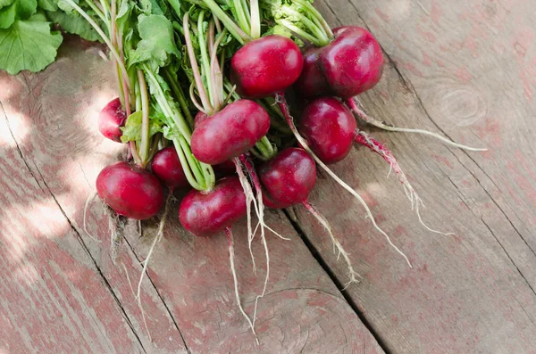 Fresh red radish on wooden table — Stock Photo, Image