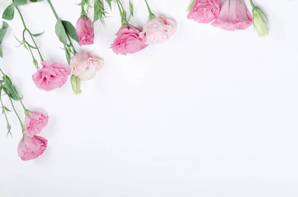 Frische Rosa Eustoma Blüten Auf Weißem Hintergrund Flache Lage Kopierraum — Stockfoto