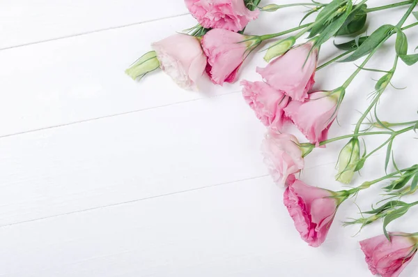 Frische Rosa Eustoma Blüten Auf Weißem Holzhintergrund — Stockfoto