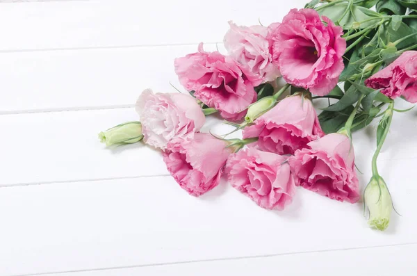 Růžové eustoma květiny na bílém pozadí — Stock fotografie