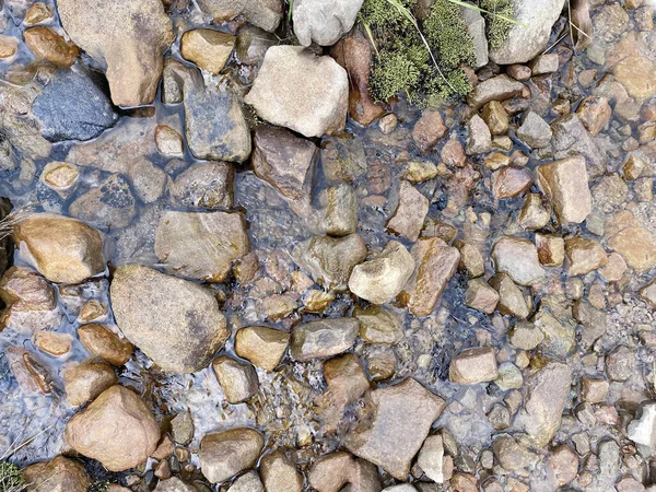 Verschillende Rivierrotsen Onder Water Met Mot — Stockfoto