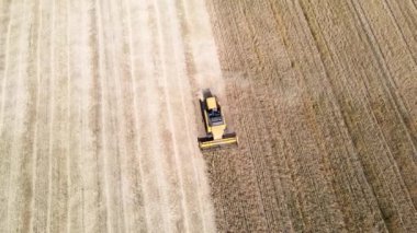 Hasat makinası olgun mısırları topluyor. Havadan üst görünüm