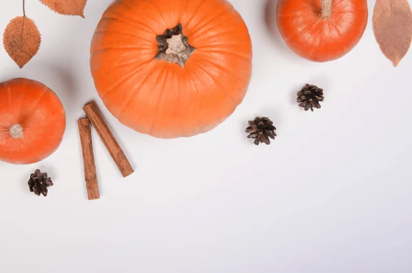 Fondo de otoño con calabaza naranja, canela y hojas — Foto de Stock