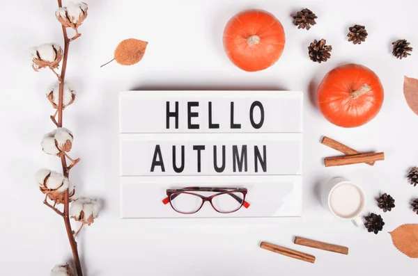 Fondo Otoño Con Calabaza Canela Planta Algodón Sobre Fondo Blanco — Foto de Stock