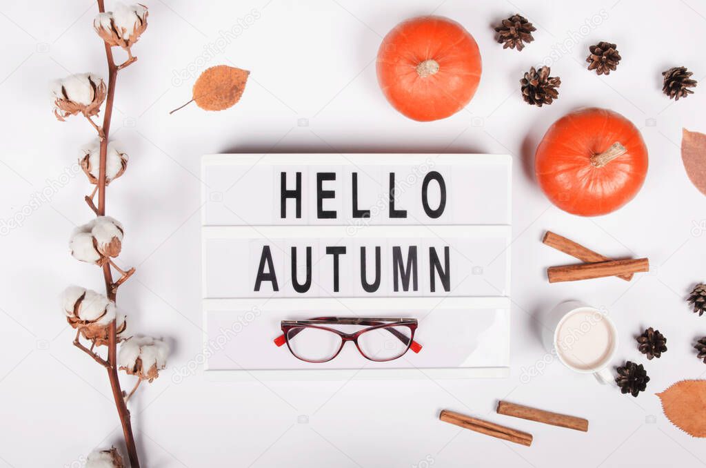 autumn background with pumpkin , cinnamon and cotton plant on white background