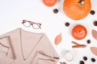 Beyaz zemin üzerinde balkabağı, tarçın ve pamuk bitkisi bulunan sonbahar arkaplanı