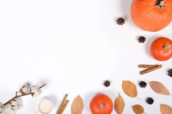 Hösten Bakgrund Med Pumpa Kanel Och Blad Vit Bakgrund — Stockfoto