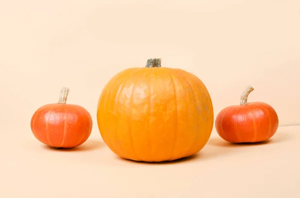 Tre zucche arancioni di Halloween su sfondo luminoso — Foto Stock