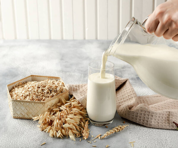 The concept of a vegetarian diet. Oat milk in the glass with jug of oat milk and oat and oat ears. Light background