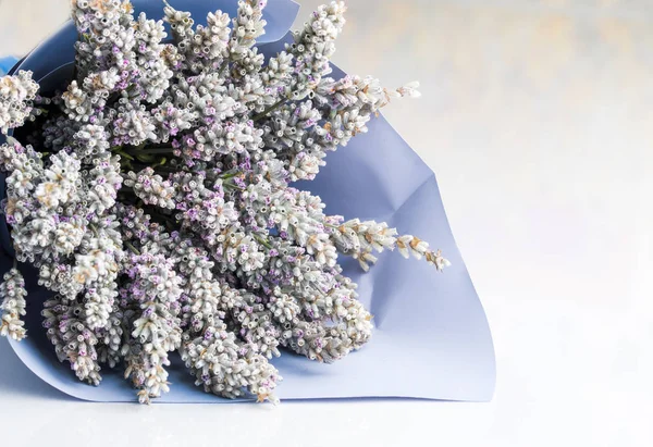Bouquet of dried lavender flowers on a light background