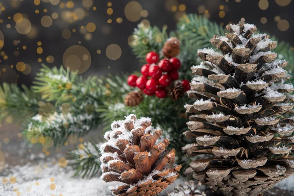 Juldekoration gratulationskort-snöiga tall koner på Grankli — Stockfoto