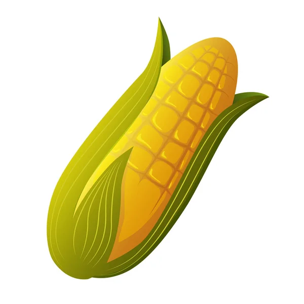 Corn icon. Vegetable vector isolated on white background — Stock Vector
