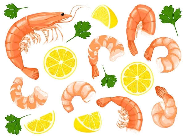 Camarones Perejil Dibujo Limón Sobre Fondo Blanco Conjunto Iconos Langostinos — Archivo Imágenes Vectoriales