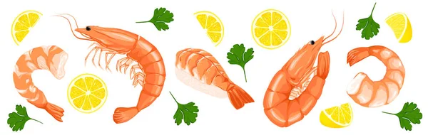 Shrimps, shrimps without shell, shrimp meat. Shrimp prawn icons set. Boiled Shrimp drawing on a white background. — Stock Vector