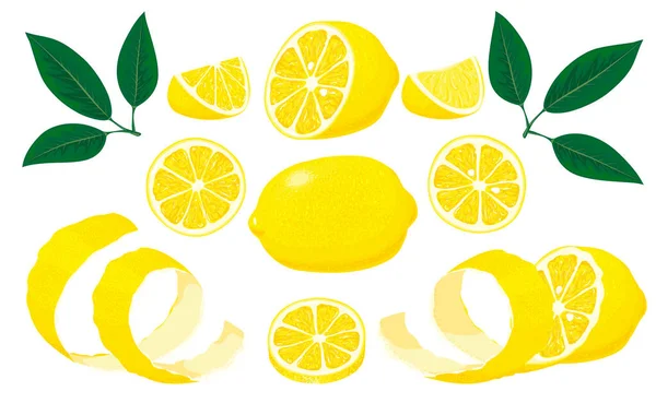 Tamamlanmış, ikiye bölünmüş, dilimlenmiş taze limon ve yapraklar, limon kabuğu. El çizimi vektör çizimi beyaz arkaplanda izole edildi — Stok Vektör