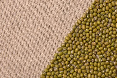 Birçok yeşil fasulye. Sağlıklı yemekler pişirmek. Nötr arka plan.