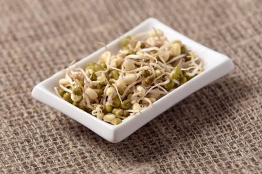 Filiz fasulye. Nötr arka plan. Sağlıklı yemekler pişirmek. Beyaz tabak.