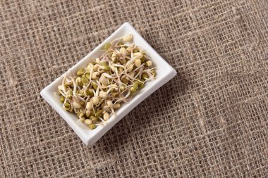 Filiz fasulye. Sağlıklı yemekler pişirmek. Beyaz tabak. Nötr arka plan.