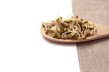 Fasulye filizi. Tahta kaşık. Beyaz arka plan. Sağlıklı gıda.