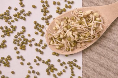 Yeşil fasulye. Taze lahanası. Tahta kaşık. Sağlıklı gıda.