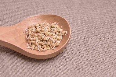 Buğday filizi. Tahta kaşık. Nötr arka plan.