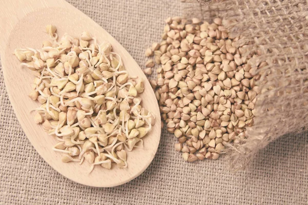 Buğday tahıl. Fasulye filizi. Tahta kaşık. Doğal arka plan.