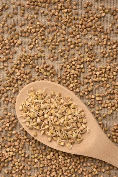 Tahta kaşık. Buğday lapası. Kahverengi zemin. Mısır gevreği lahanası.