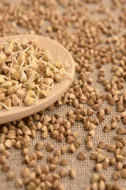 Kahverengi zemin. Mısır gevreği filizlenir. Tahta kaşık.