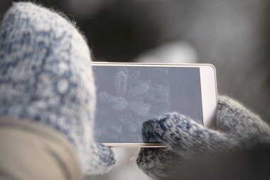 Resmi telefon için. Ladin ağacı dalı. Beyaz Don. Kış.