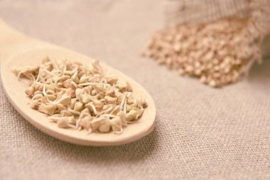 Tahta kaşık. Buğday filizi. Kahverengi zemin. Kabuğu çıkarılmış tane.