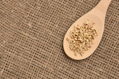 Buğday taneleri. Tahta kaşık. Nötr arka plan. Sağlıklı gıda.