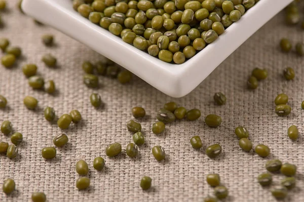 Yeşil fasulye. Beyaz Kupası. Nötr arka plan. Sağlıklı beslenme.