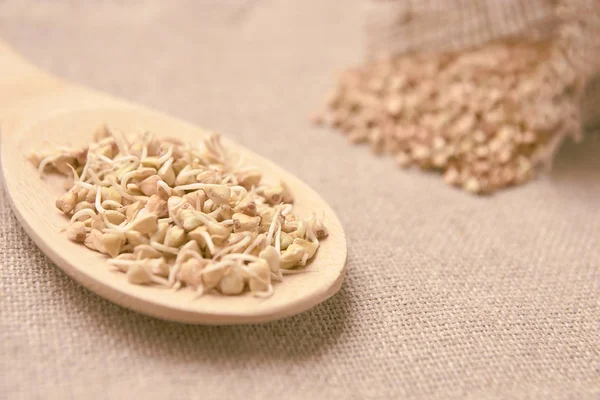 Tahta kaşık. Buğday filizi. Kahverengi zemin. Kabuğu çıkarılmış tane.