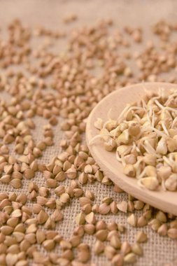 Mısır gevreği filizlenir. Kahverengi zemin. Tahta kaşık.