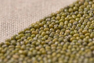 Nötr arka plan. Birçok yeşil fasulye. Sağlıklı gıda.