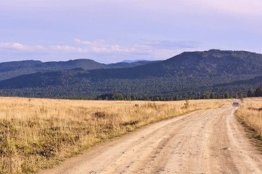 Mavi gökyüzü. Yeşil orman. Yüksek dağlar. Tozlu yol.