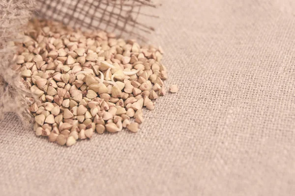 Buğday taneleri. Sağlıklı gıda. Nötr arka plan.