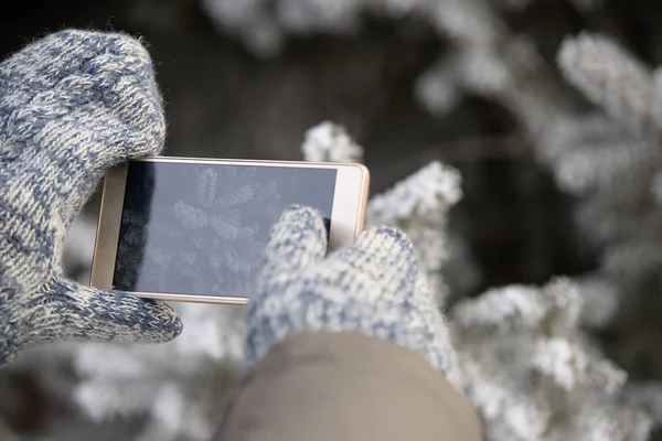 Resmi telefon için. Ladin ağacı dalı. Beyaz Don. Kış.