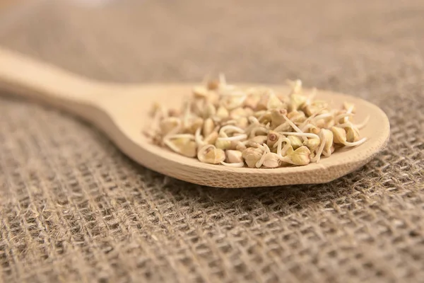 Tahta kaşık. Buğday taneleri. Sağlıklı gıda. Nötr arka plan.