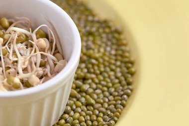 Taze lahanası. Yeşil fasulye. Sağlıklı gıda. Beyaz Kupası.