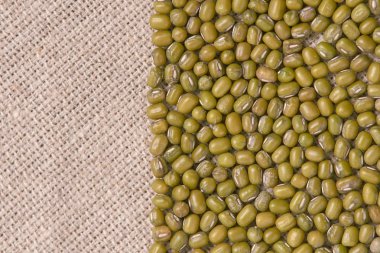 Nötr arka plan. Birçok yeşil fasulye. Sağlıklı yemek.