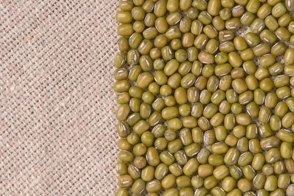 Nötr arka plan. Birçok yeşil fasulye. Sağlıklı yemek.