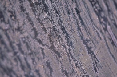 Kış desen. Beyaz kar taneleri. Gri renkli.