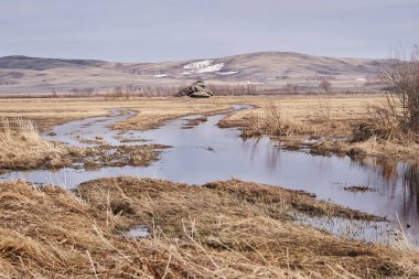 Kuru ot. Gri gökyüzü. Su. Dağ manzarası.